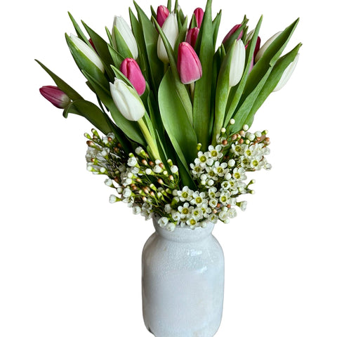 Bouquet of tulips in a white vase on a white background